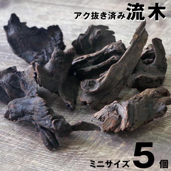 アク抜き済 そのまま沈めるだけ 流木ミニ 5個 Oh 2 熱帯魚通販のネオス 通販 Yahoo ショッピング