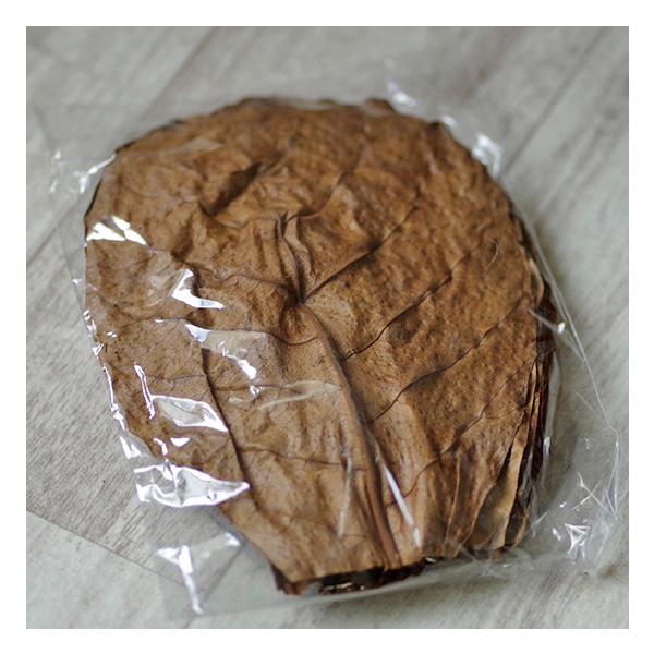 Ａ級品　インドネシア産　マジックリーフ 10枚