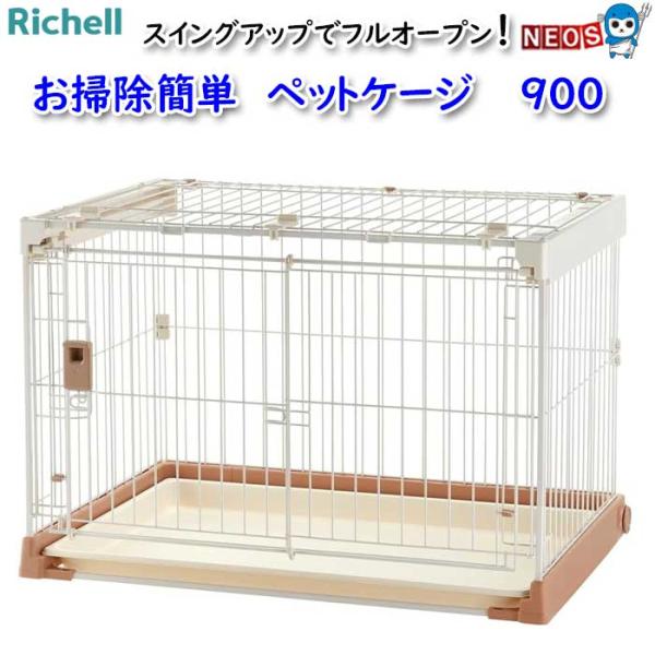 fish-y_rich20241010-01
