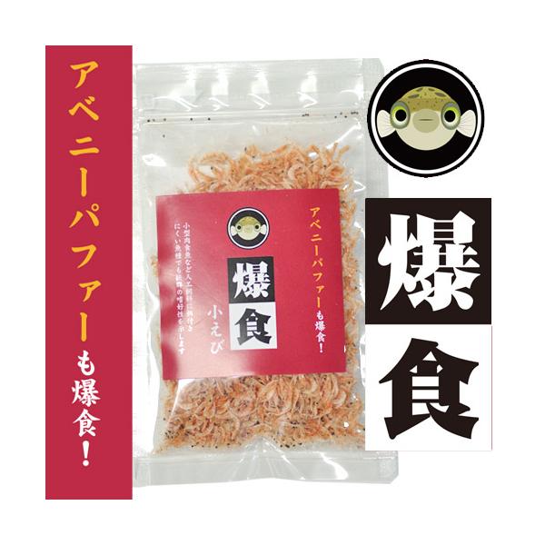 爆食小えび