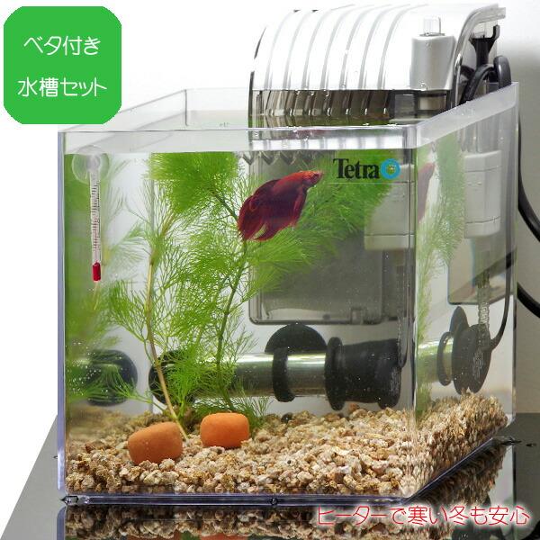 アクアリウム 用品 ベタ飼育セット ベーシック 水槽タイプ 水槽セット 飼育セット Set 2 熱帯魚通販のネオス 通販 Yahoo ショッピング