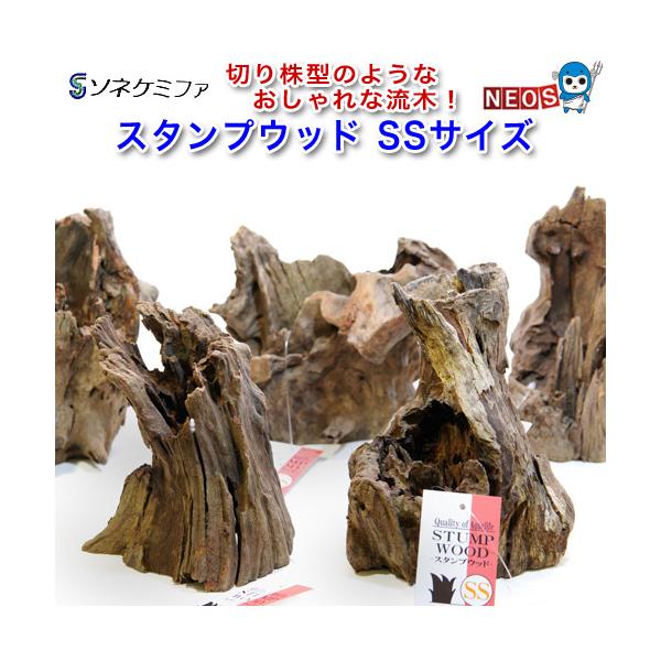 【値下げしました】【一点物】流木　スタンプウッド　40cm 大 値下げしました】【一点物】流木 スタンプウッド 40cm 大 値下げ