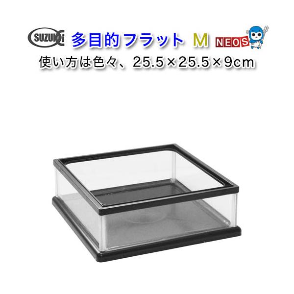 fish-y_suzuki20221201-15 fish-y_suzuki20221201-15