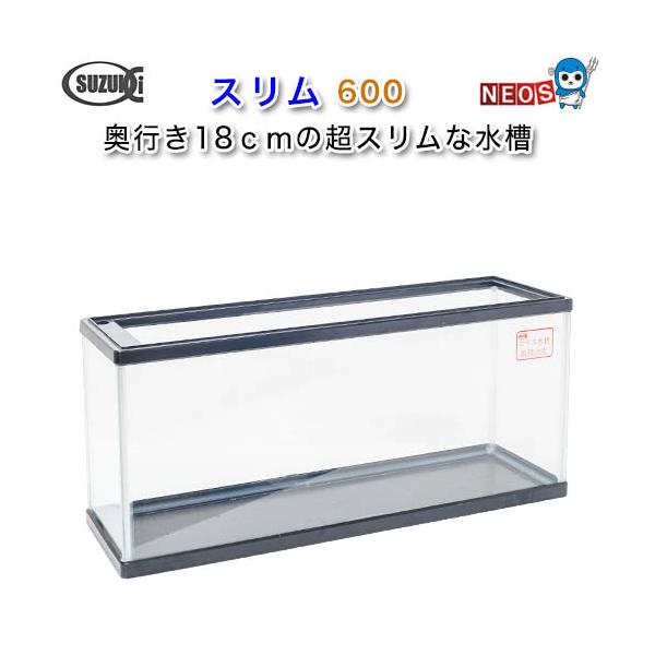 fish-y_suzuki20221201-9