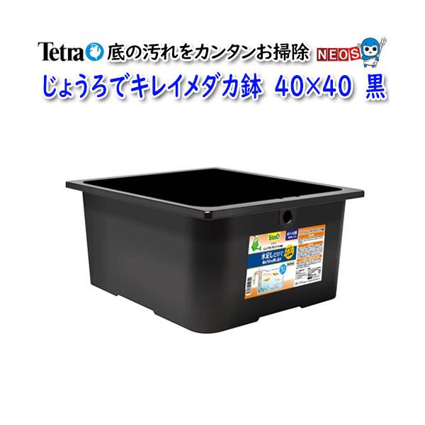 Tetra（テトラ） じょうろでキレイメダカ鉢 40×40 黒 : 熱帯魚通販の