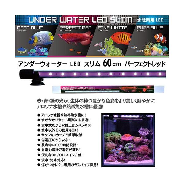 アクアリウム 用品)ゼンスイ アンダーウォーターLED スリム 60cm  