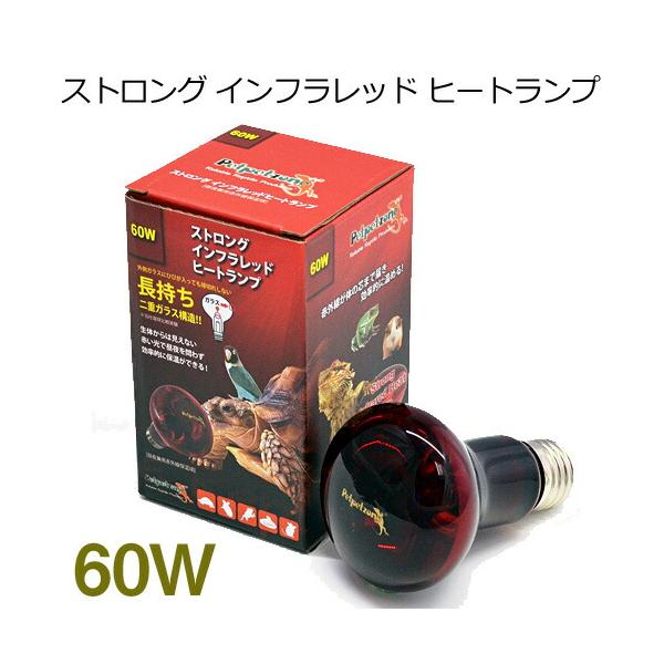ペットペットゾーン　ストロング インフラレッド ヒートランプ　60W『特長』爬虫類、両生類、鳥類、小動物に使用でき、生体に見えない 光で昼夜を問わず24時間保温できます。狭い範囲に熱を照射し、効率的にゲージの下部まで温め、温度差を作ることが...