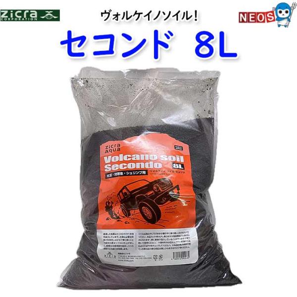 fish-y_zic20240716-61