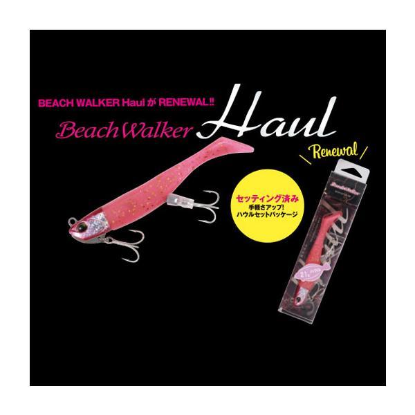 新品　DUO ビーチウォーカー ハウル色々セット DUO（ルアー） DUO(デュオ) ビーチウォーカー ハウルセット 21g