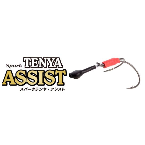 アクアウェーブ スパークテンヤ アシスト