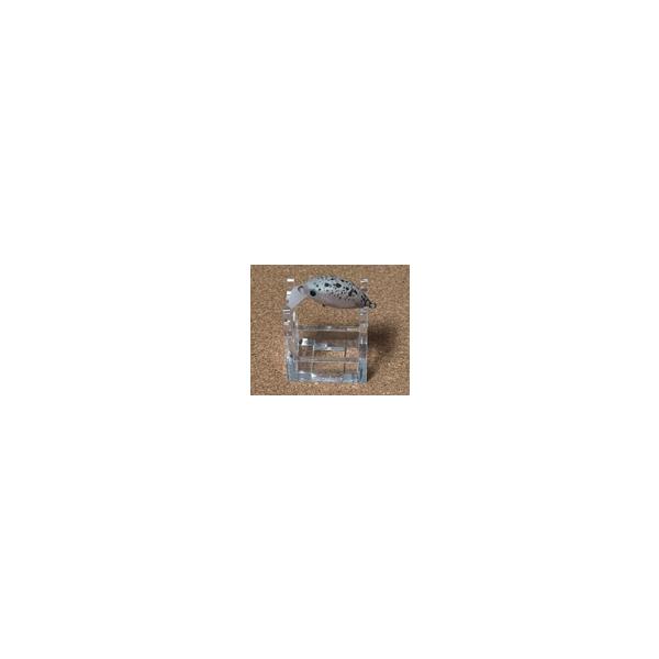 GATE×ムカイフィッシング クイック25SR HFWG Bパール