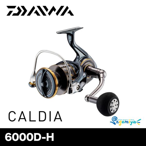 DAIWA（ダイワ） 22カルディア SW 6000D-H（CALDIA） : フィッシング