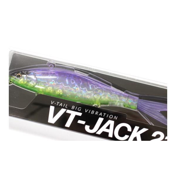 Fish Arrow フィッシュアロー × DRT VT-JACK VTジャック 210 #06