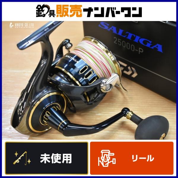 DAIWA（ダイワ） 25 ソルティガ 25000-P オッズポート 10号 300m 付