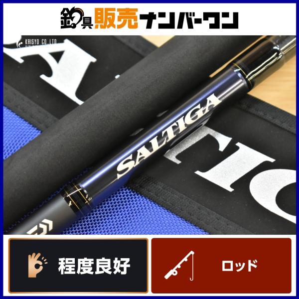 DAIWA（ダイワ） ソルティガ C 85-8 DAIWA SALTIGA CASTING オフショア
