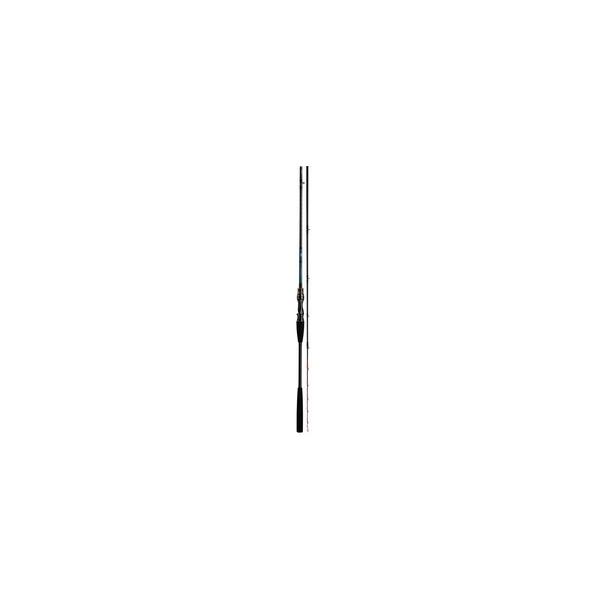 DAIWA（ダイワ） テンヤタチウオX 180・R : フィッシングトライ - 通販
