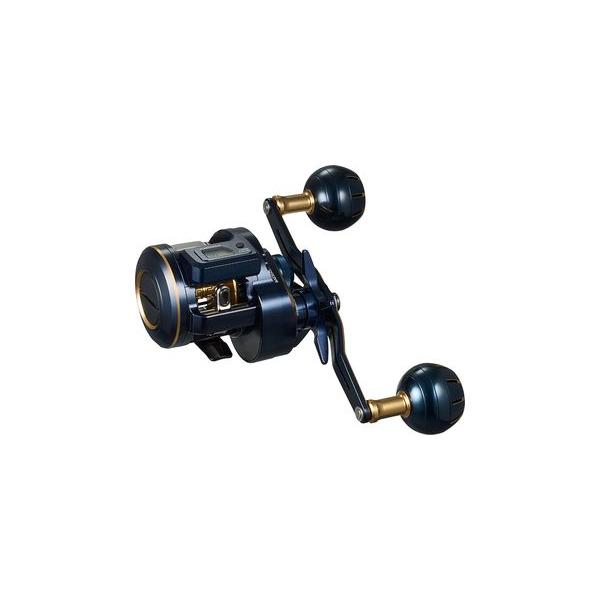 DAIWA（ダイワ） 21 ソルティガIC 100HL-DH : フィッシングトライ