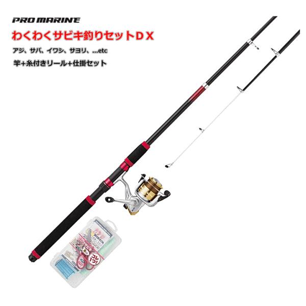 プロマリン（PRO MARINE） わくわくサビキ釣りセット DX 300 / SALE
