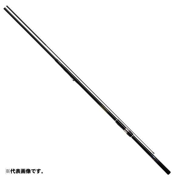 DAIWA（釣り） ダイワ 20 インターライン シーパラダイス MH-300・R 