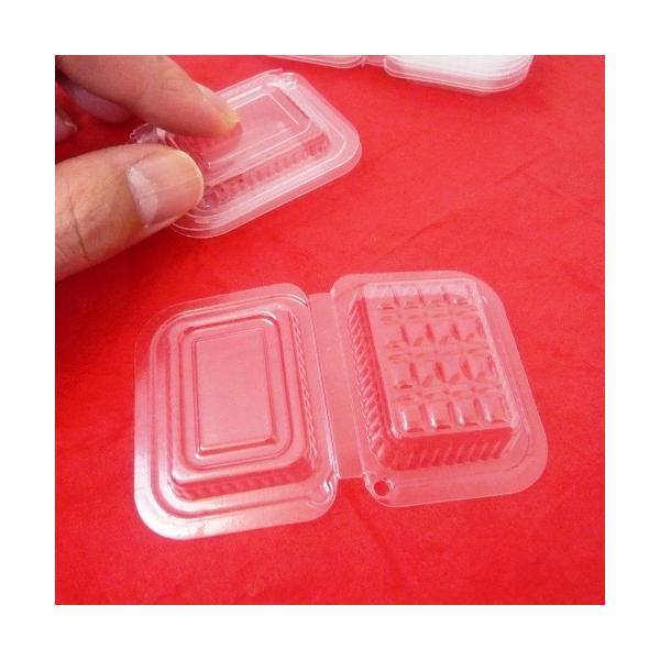 fishingcat_12213_1_d_20250203153534