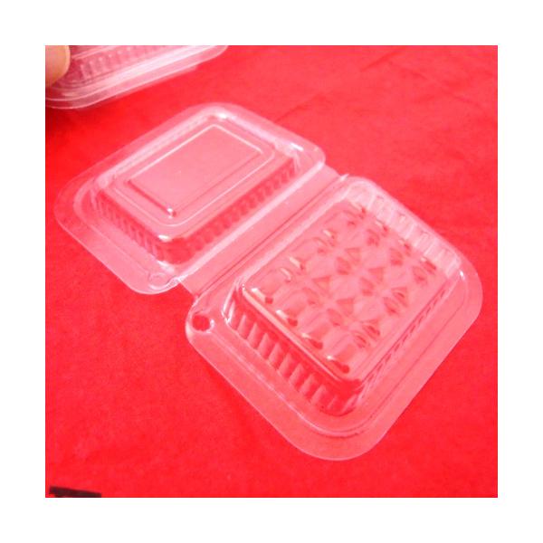 fishingcat_12213_2_d_20250203153534