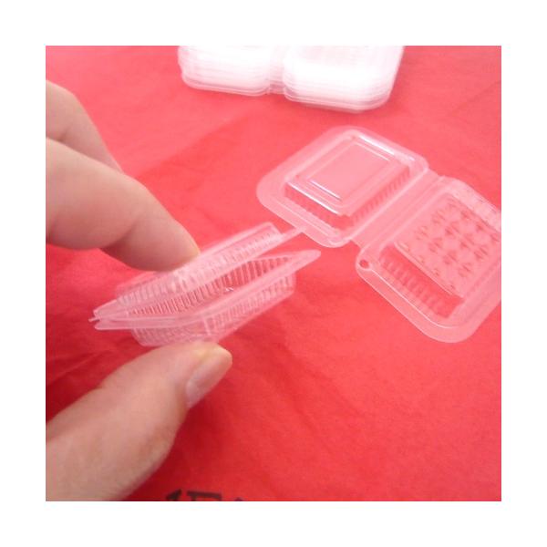 fishingcat_12213_3_d_20250203153534