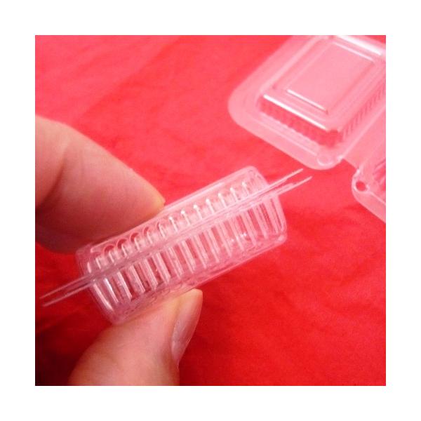 fishingcat_12213_4_d_20250203153534