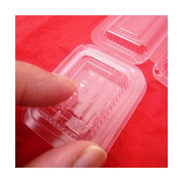 fishingcat_12213_5_d_20250203153534