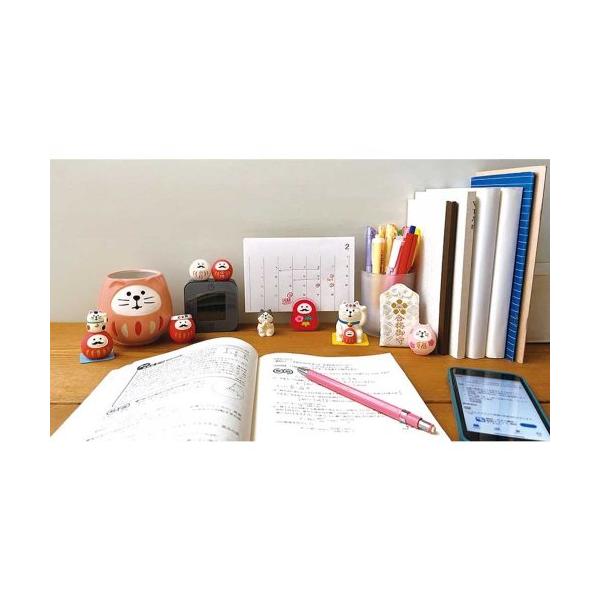 fishingcat_12532_2_d_20250715101146