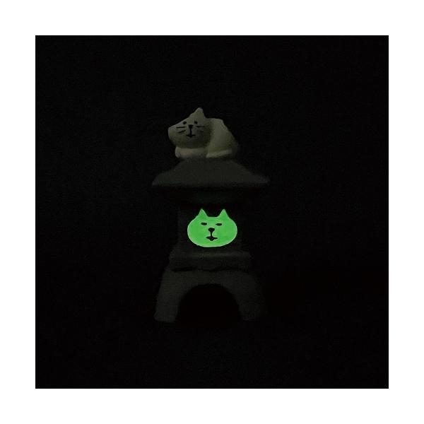 fishingcat_13023_6_d_20251208200735