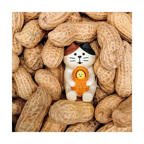 concombreと当店FISHING CATコラボのオリジナルミニチュアマスコット第一弾！コンコンブルミニチュアマスコットの「ピーナッツ猫」です。当店は千葉県にある小さな雑貨屋で、デコレ様がconcombreシリーズを発売開始した10年以...