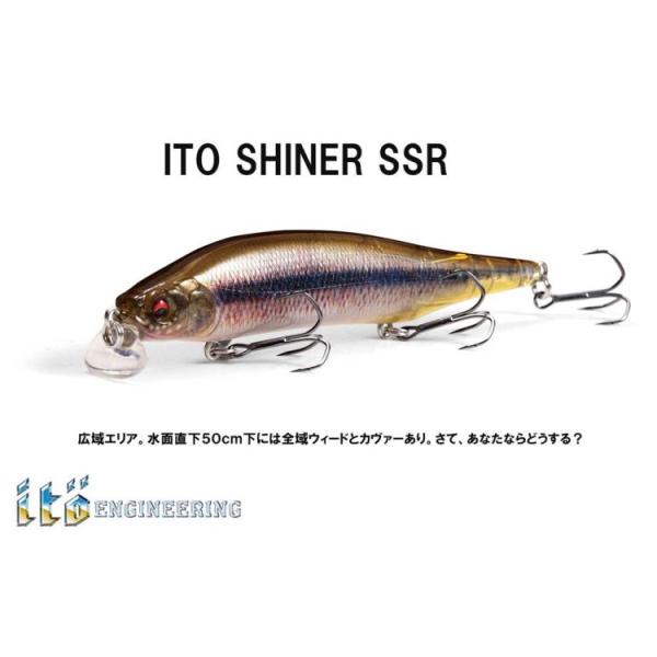 Megabass ITO-SHINER SSR / メガバス ITO シャイナーSSR : ルアー