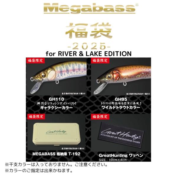 Megabass 2025年 メガバス福袋 本流 Megabass(メガバス Megabass 2025年 メガバス福袋 本流 Megabass(メガバス