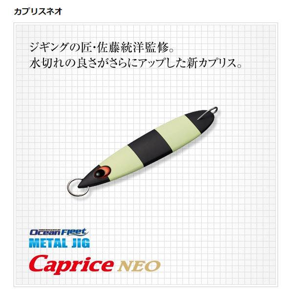 EverGreen（エバーグリーン） カプリスネオ 130g CP28 シルバー