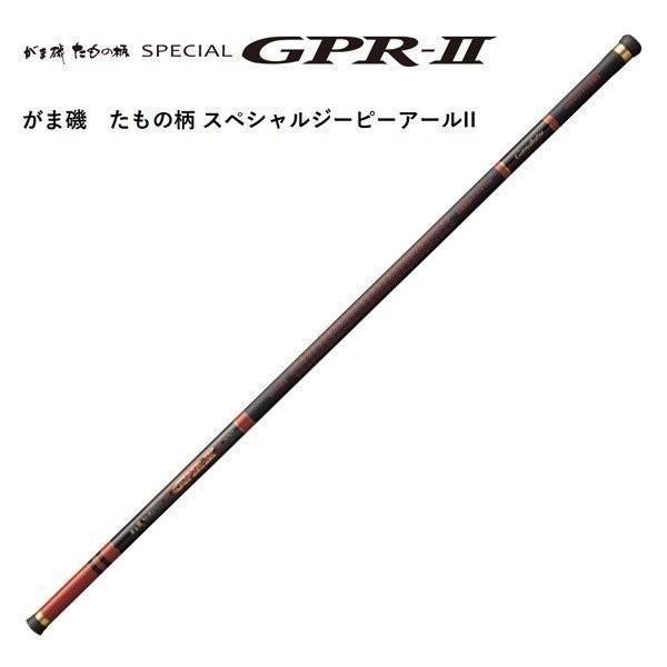 ܂ ܈ ̕ XyVW[s[A[II 5.3m ^B 