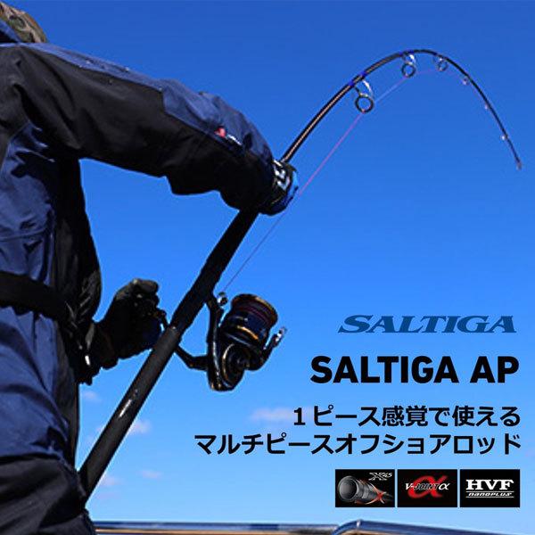 DAIWA（ダイワ） 22 ソルティガ AP C86-8 2022年新製品 大型便A 爆買