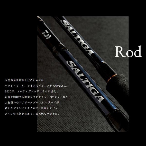 DAIWA(釣り) 22 ソルティガ C 84-2.5 2022年新製品 大型便C DAIWA(釣り) 22 ソルティガ C 84-2.5 2022年新製品 大型便C