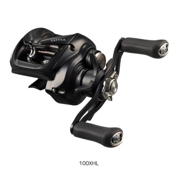 DAIWA（ダイワ） 24 タトゥーラ TW 100XHL 爆買 : フィッシング
