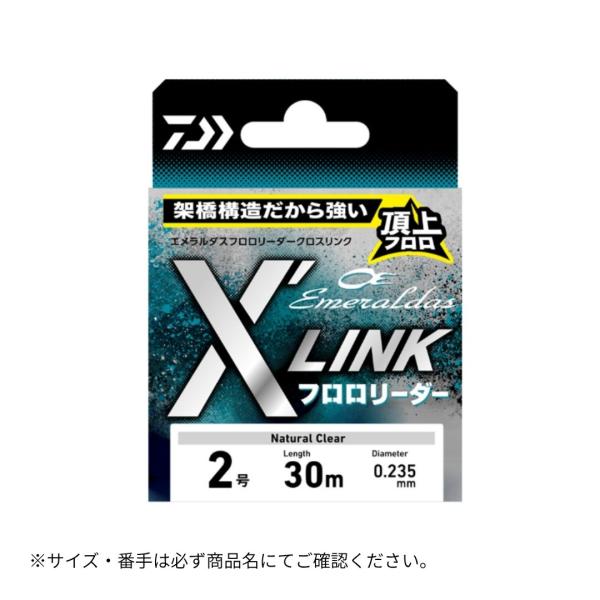 DAIWA（ダイワ） エメラルダス フロロリーダー XLINK 30m #2.75 爆買