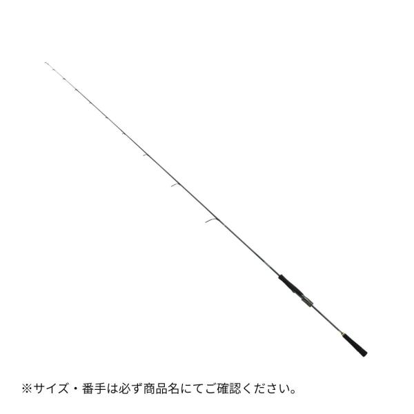 DAIWA（ダイワ） ソルティガ SLJ EX 63MLS TG 大型便C 2026年新製品 4