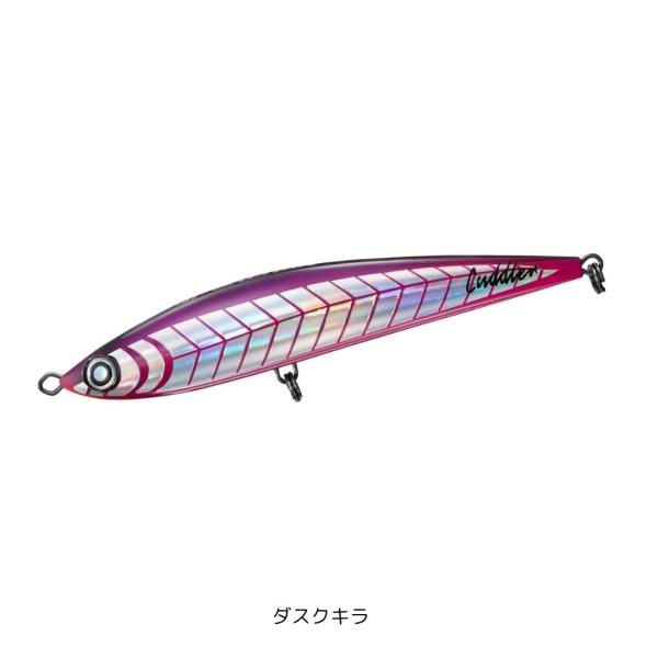 2個セット　スカイフィン　カドラー ソルティガ　ダイワ　daiwa 釣りフェス 釣りフェス 2026 ダイワ ソルティガ スカイフィン 210 カドラー140F