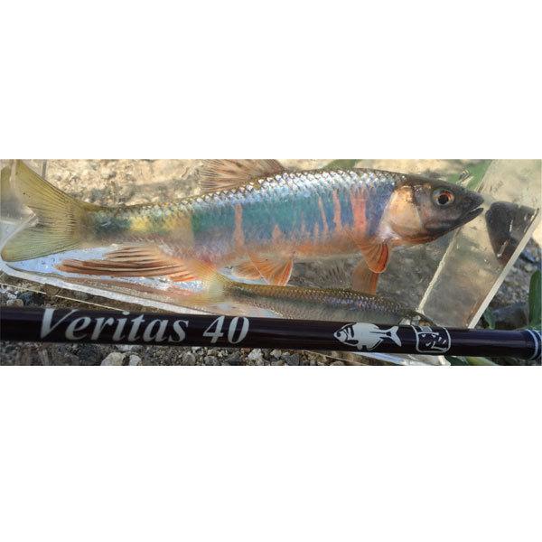 エクストリーム TULALA ベリタス 40 爆買 : フィッシングマックス