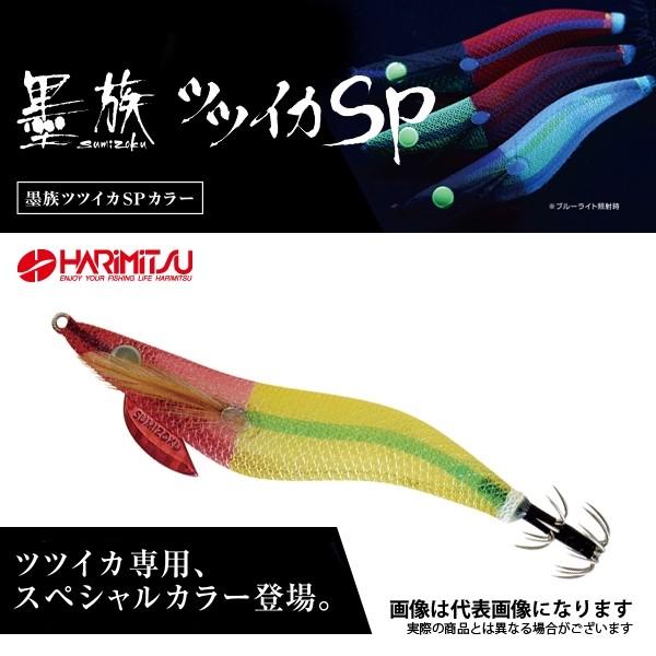 n ccCJSP 2.5 ԗ΃^bh VE22 n~c 