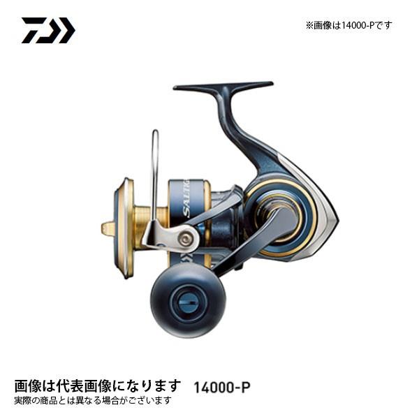 DAIWA（釣り） ダイワ ソルティガ 10000-P 2020年新製品 リール