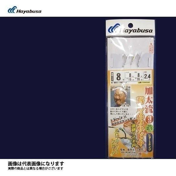 Hayabusa 三邦丸 加太流 落込みサビキ強靭イサキ ハヤブサ