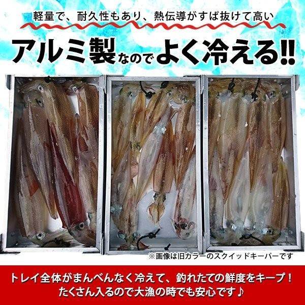 Valleyhill バレーヒル スクイッドキーパーDX Lシャンパン Valleyhill バレーヒル スクイッドキーパーDX Lシャンパン