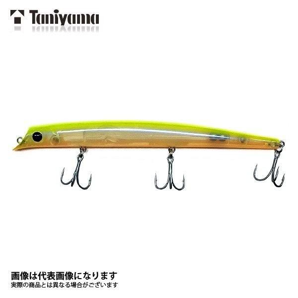 パラガス 谷山商事 BGソルテックス パラガス PARAGUS 160 ＃01 HGイワシ