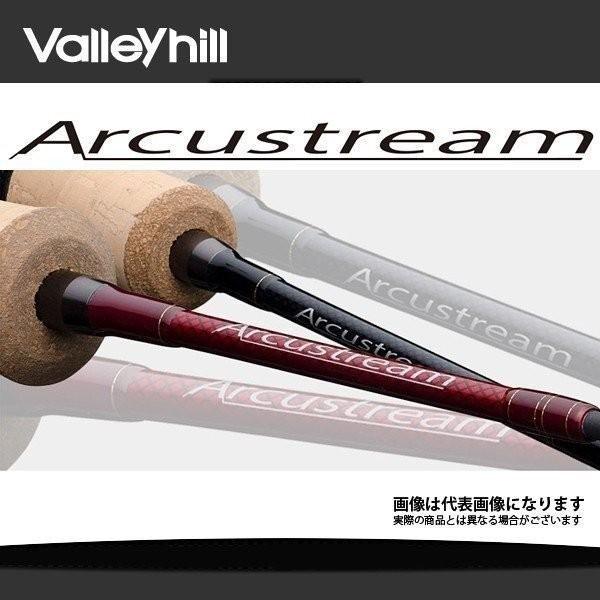 Valleyhill（バレーヒル） アークストリーム ASS-56 大型便A 爆買