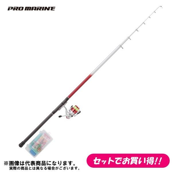 プロマリン（PRO MARINE） サビキ釣り入門セット 仕掛け付 PG極光