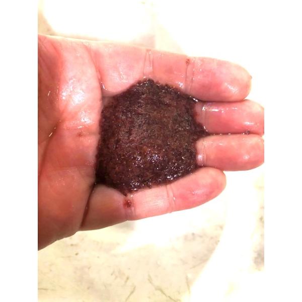 ●クール便の為他の活きエサとの同梱不可。※雑魚、スジエビ、ツメガエル、ヒメダカの同梱は可能です。◆北海道、九州、四国、岡山県、山口県、島根県、鳥取県、広島県への「生体」の発送は翌々日配達地域となる為、【死着補償】をしておりません。予めご了承...